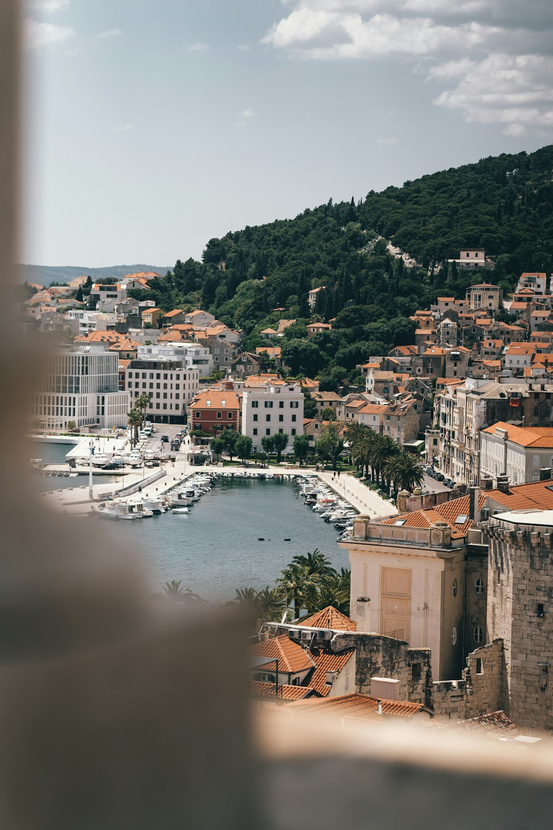 Portrait of a Croatian male content editor