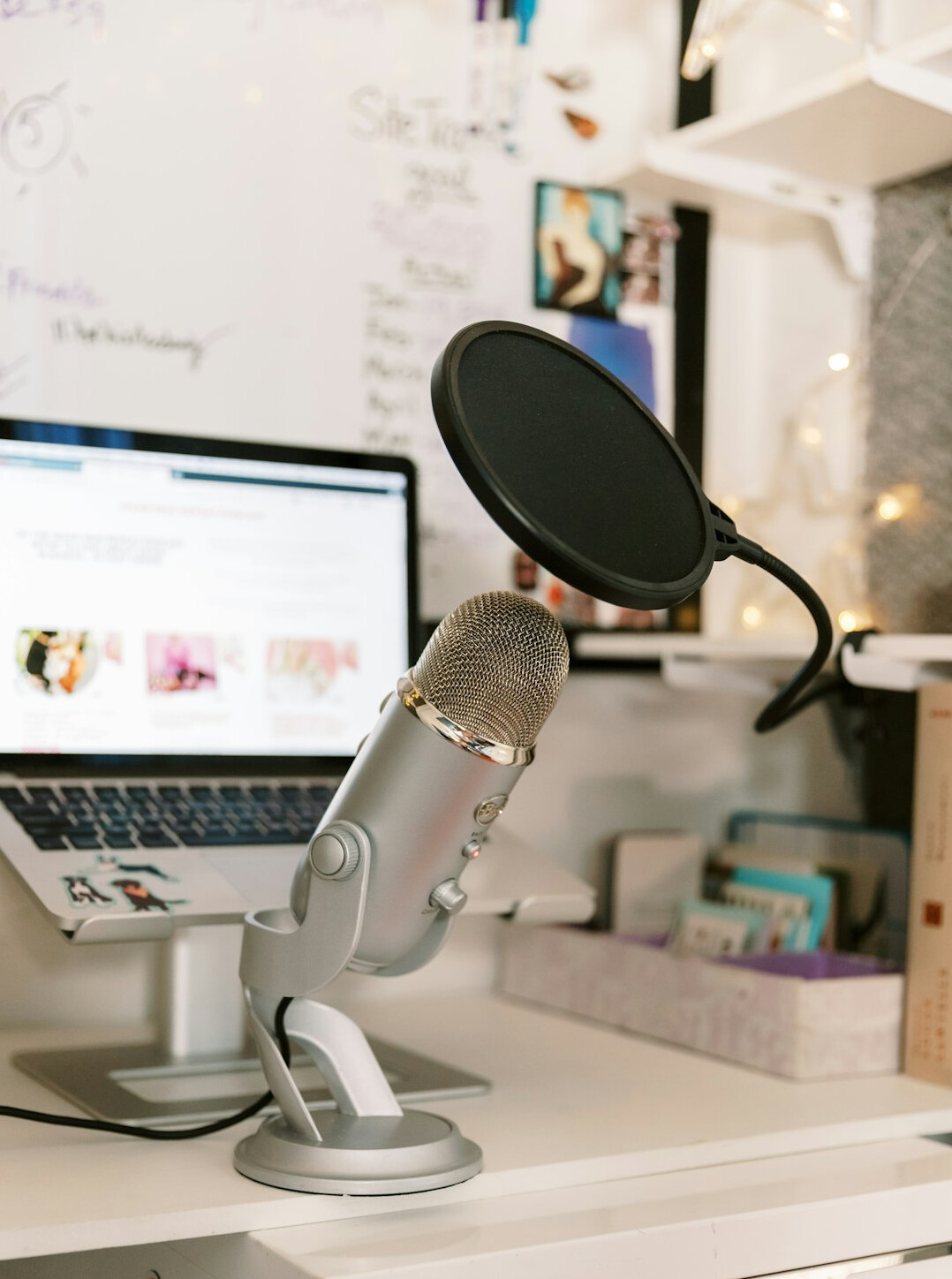 niche podcast discussion
